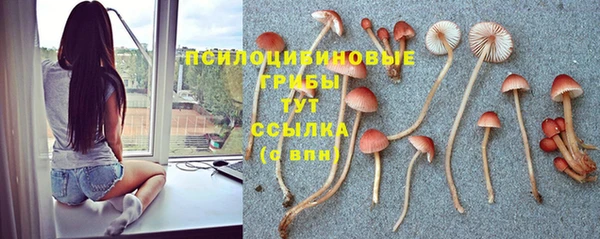 ешки Заволжск