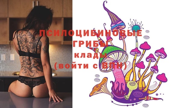 spice Заволжье