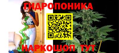 гашиш Берёзовский