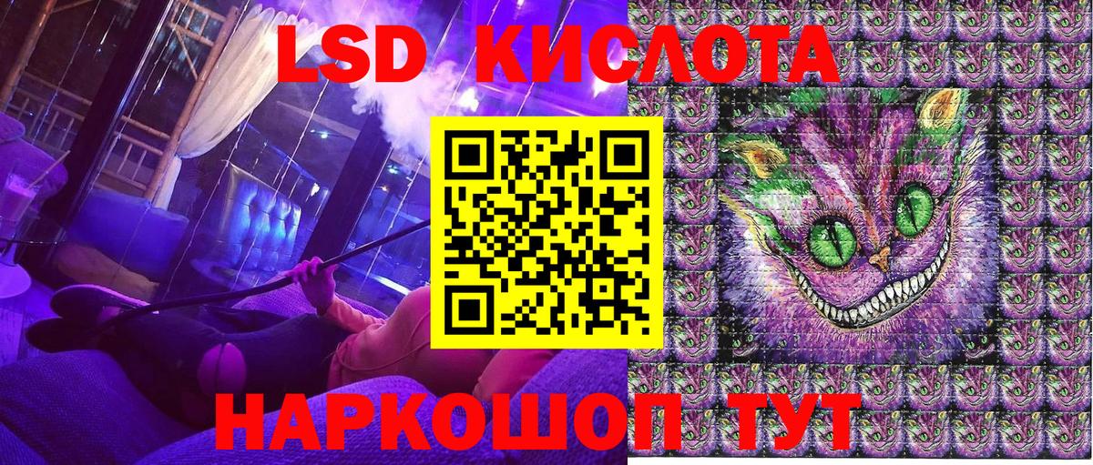 Наркотические марки 1500мкг  Наркотические марки 1500мкг  Канаш  где купить наркоту  Вход с VPN 
