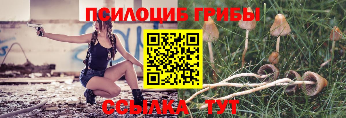 Галлюциногенные грибы Канаш