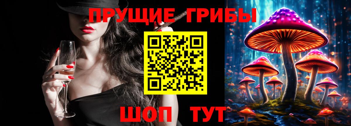 Галлюциногенные грибы Psilocybe  Вход с VPN  Канаш 